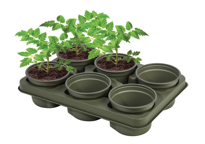 Garland’s Bio-Based Growing Tray